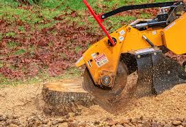 Best Utility Line Clearance  in Airy Heights, WA